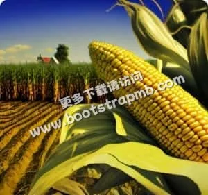 安全公正，信賴之選 - 多多28chengyunhao