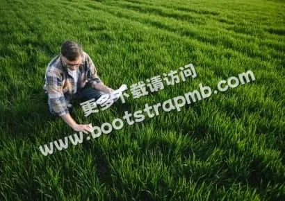 探索多多28的精彩世界 - 多多28chengyunhao