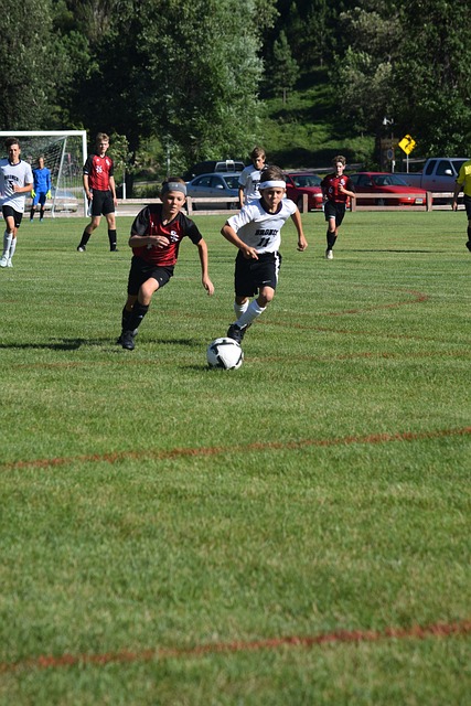 术上独具优 术上独具优